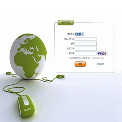 百事隆軟件 專業直銷軟件開發定制服務，助力企業數字化轉型