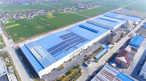 泰州姜堰 以“不老松”全生命周期產品創新理念，助力山東軟件產業大樹成林