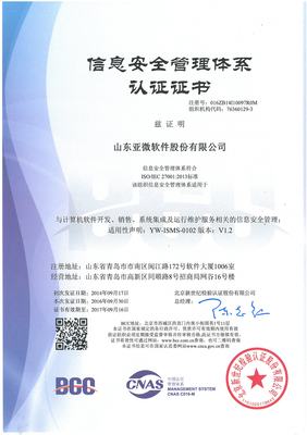 山東亞微軟件股份有限公司 深耕軟件開發(fā)，驅(qū)動(dòng)區(qū)域數(shù)字化轉(zhuǎn)型